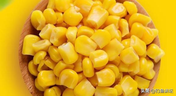 鲤鱼最爱吃三种饵料品牌,鲤鱼最爱的食物排行榜