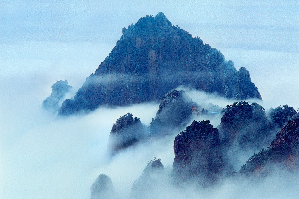 天都将“休眠”，莲花悄“待开”