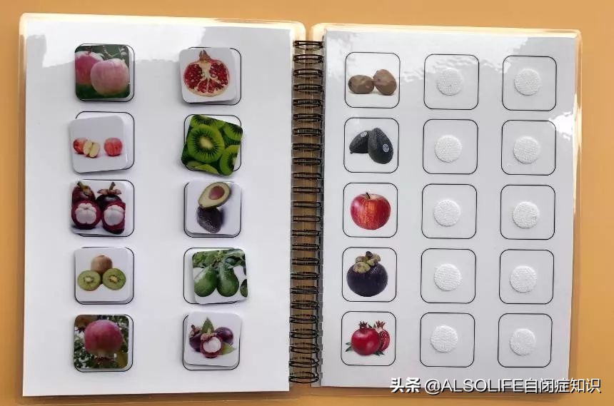 一整个切块的苹果,把一个苹果切成两半体积有变吗