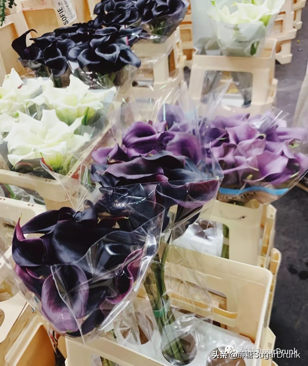 欧洲最大小商品批发市场,欧洲最大批发食品市场