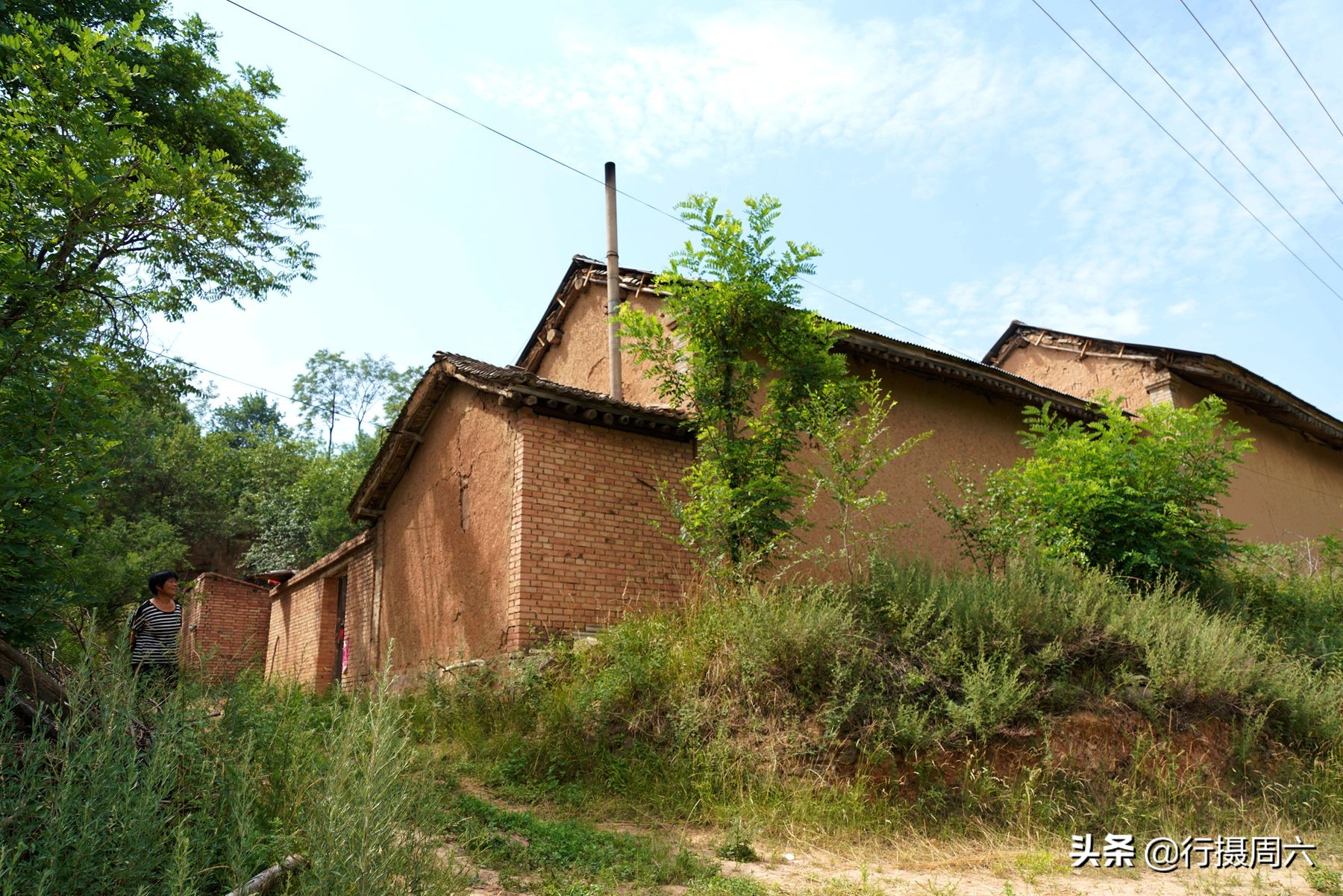 农民大姐家有“黑熊犬”，忠诚聪明1狗护全村，8万不卖