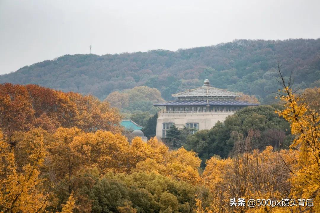 武汉大学2020还开学吗,武汉大学马上要开学了吗