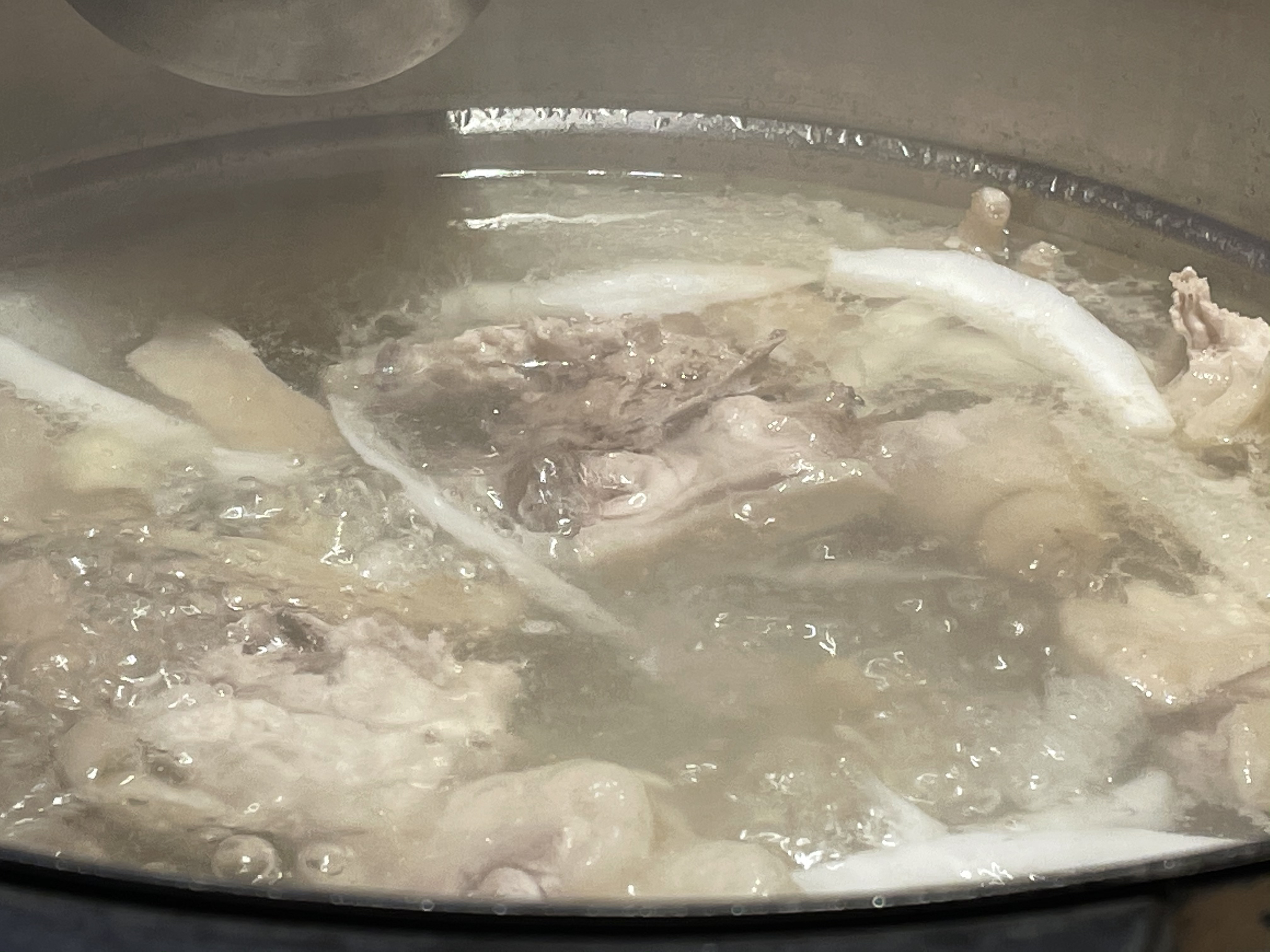 逐梦自贸海动椰城,逐梦海口嗨动椰城