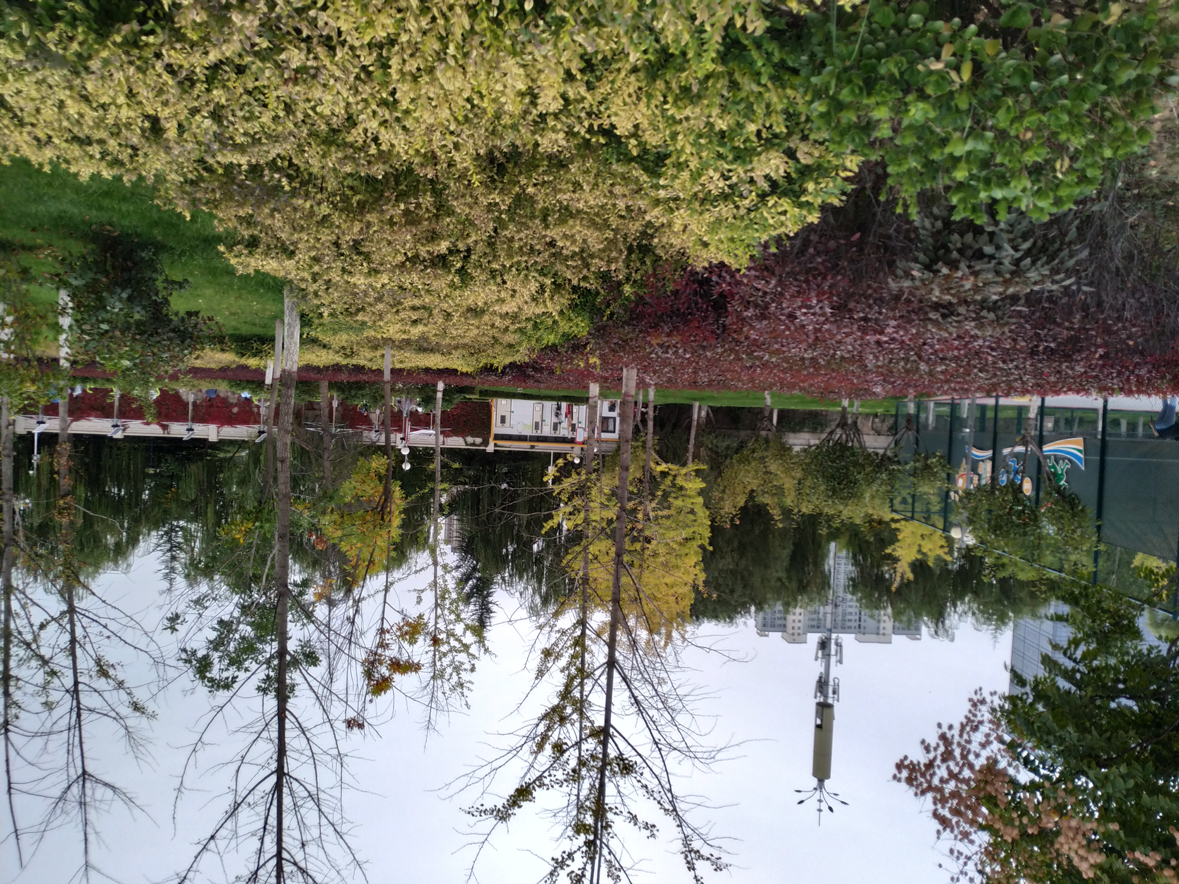 七里河百合公园地址,七里河旁边的公园