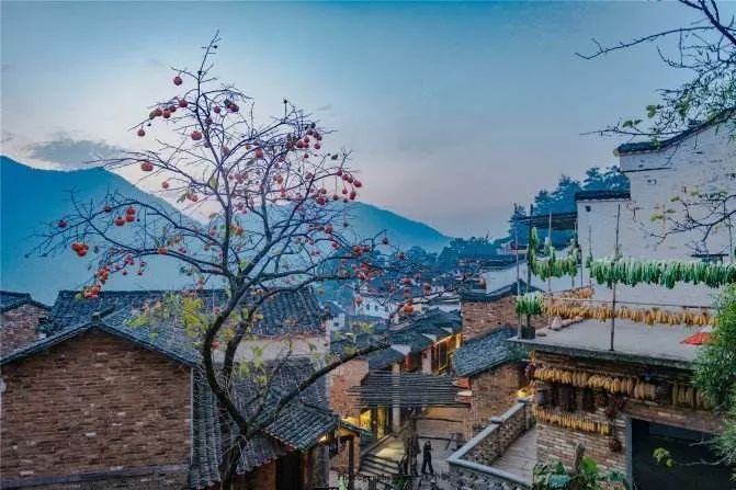 人民日报上饶县,人民日报上饶师范学院