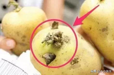 发芽的土豆属于真菌性中毒吗,吃发芽的土豆中毒后怎么办