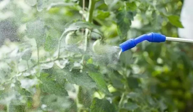 硼肥的基本常识有哪些,硼肥用得多对作物有什么补救办法