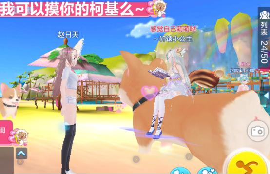 怎么才能养一只柯基犬,养柯基犬最简单的需要准备什么