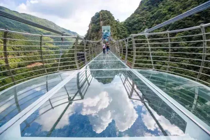 森林负离子度假酒店,负氧离子氧吧酒店