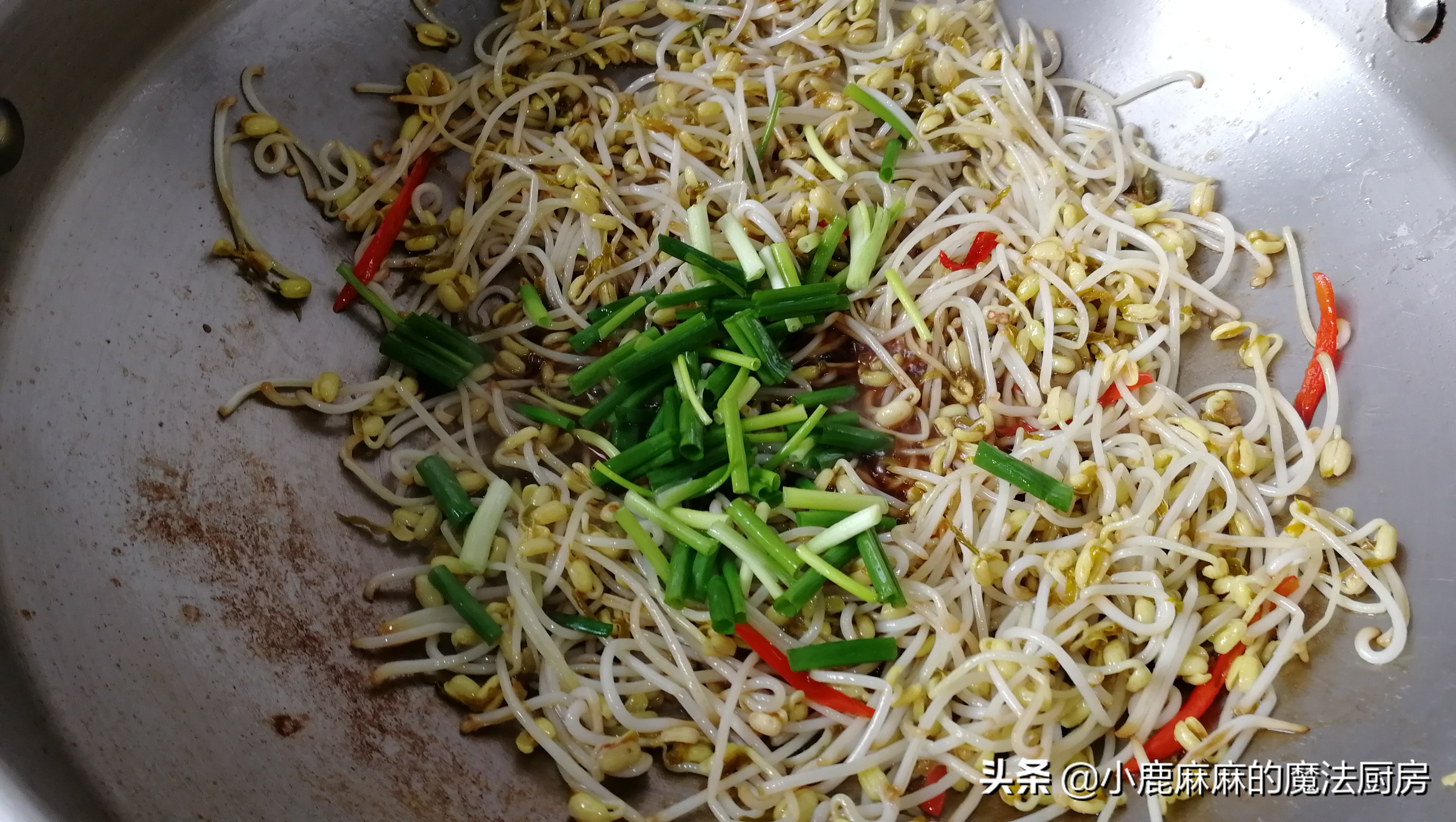 自制的豆芽怎么会苦,怎么自制豆芽不苦