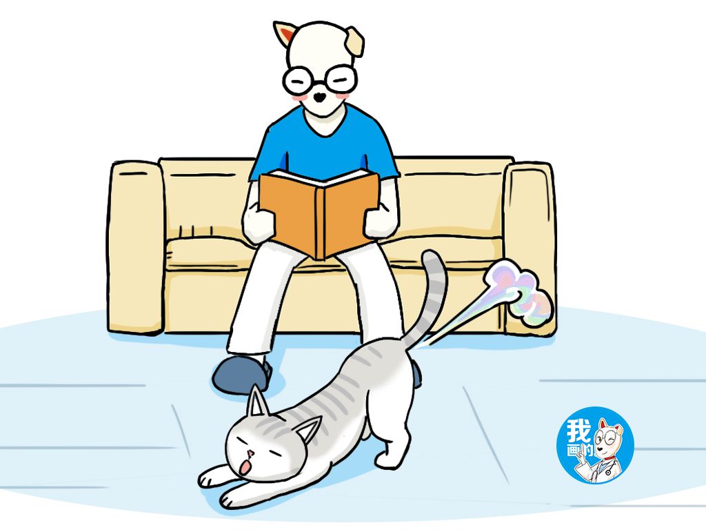 铲屎官猫咪放屁,铲屎官睡觉时猫咪放屁