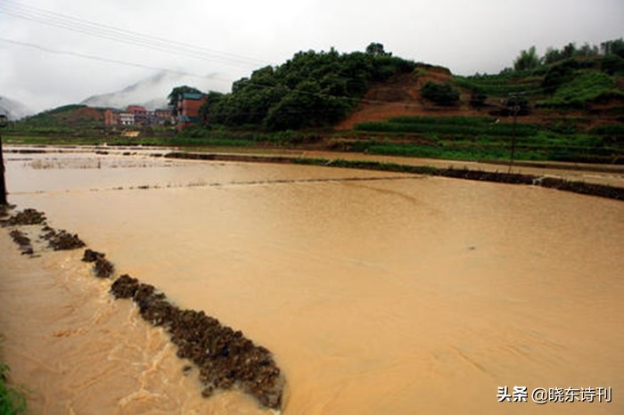 「黎明拾穗」43期诗词41首,首页篇篇造网红,风流戏子逞英雄