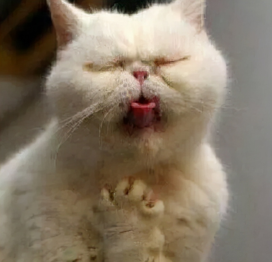 孩子挑食严重怎么和老师说,孩子挑食该怎么给老师说