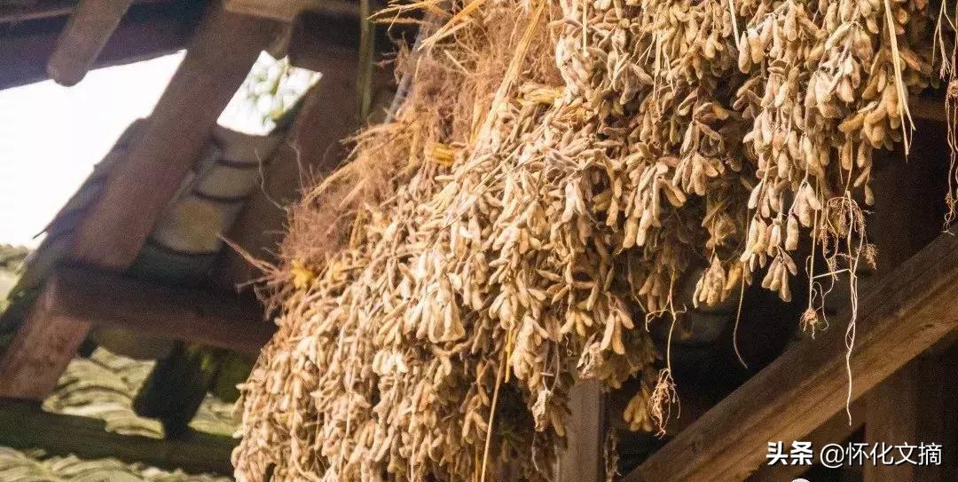 千年古苗寨老家寨全景,贵州千户苗寨农户家