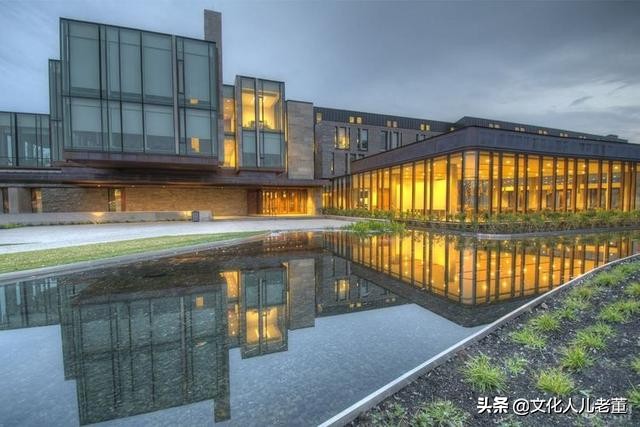 约克大学舒立克商学院是什么档次,约克舒立克商学院排名