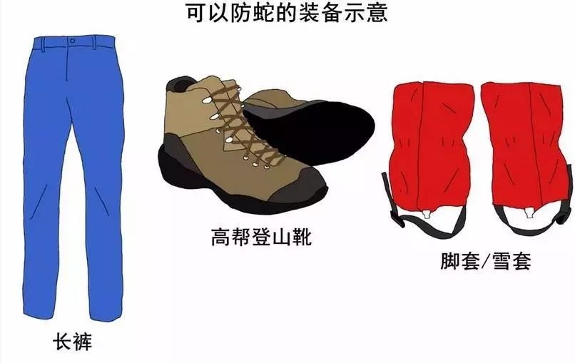 村民家中惊现2米长眼镜王蛇,近3米长眼镜王蛇出没