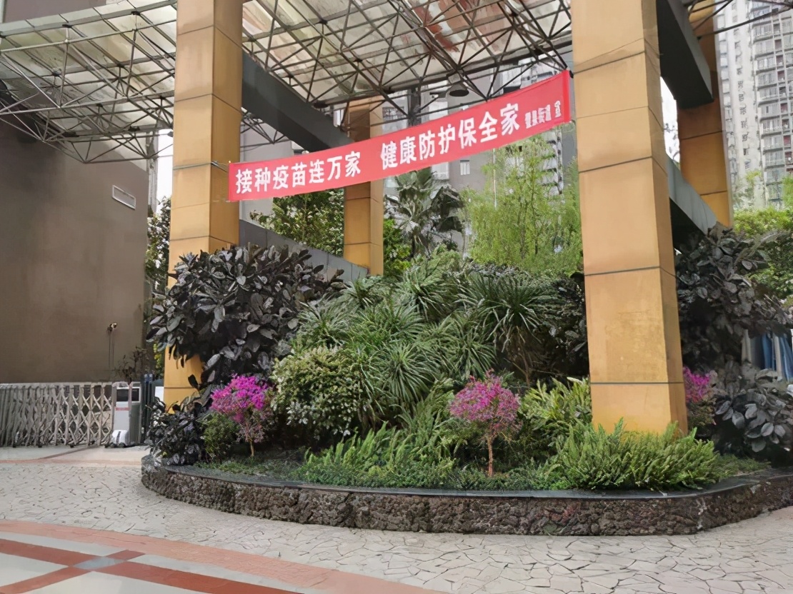坪山党建引领居民小区治理,璧山党建阵地建设