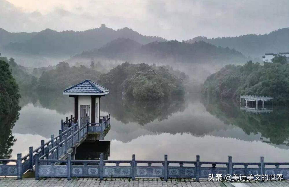杜甫两个黄鹂鸣翠柳背景,杜甫两个黄鹂鸣翠柳的解读