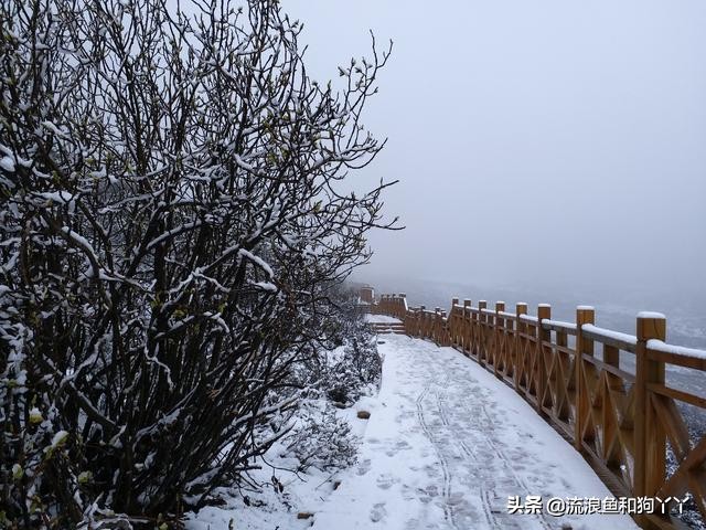 年保玉则现在开放了吗,年保玉则为啥被封