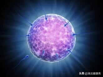 试管婴儿知识,做试管婴儿要趁早