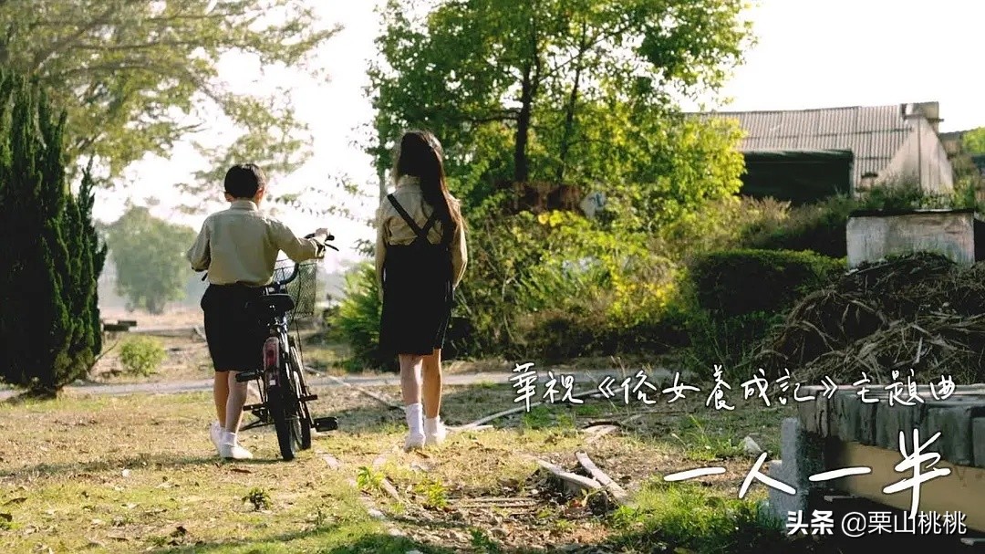 9部值得一看的高分台剧安利,这部9.5评分的台剧你们看了吗