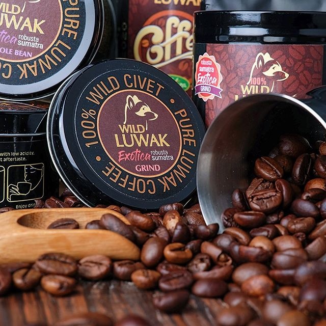 猫屎咖啡到底有多昂贵,为什么猫屎咖啡是世上最贵的