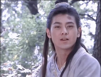 段誉的跌宕人生,段誉世事难料