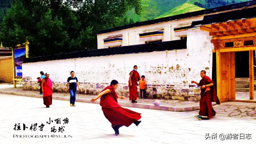 六月奔赴甘南去见证它究竟有多美,六月的甘南简直太美了