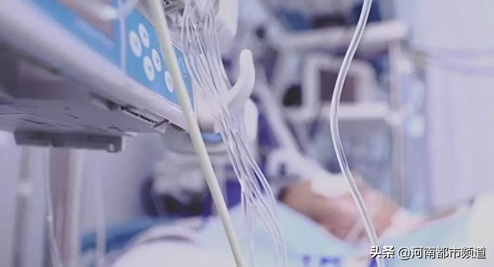 直击安乐死全过程，4分钟结束生命！她的这段视频看哭13万网友