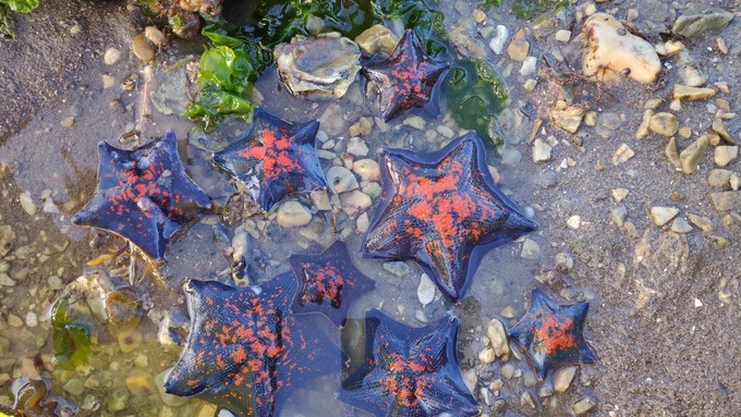 辽宁大连小海岛,辽宁大连旅游岛屿