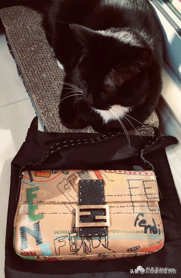 好看又大的宠物包,超好看的宠物包