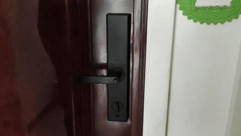 米家门锁远程开锁,米家智能门锁青春版换把手方向