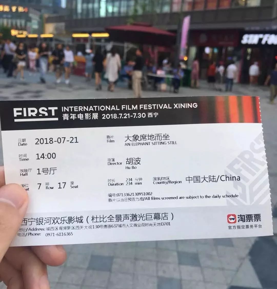 大象席地而坐有人说话,大象席地而坐