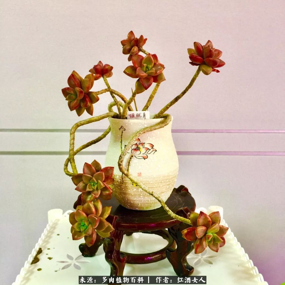 记录走过的美景留下美好的回忆,记录走过的每一段美好时光