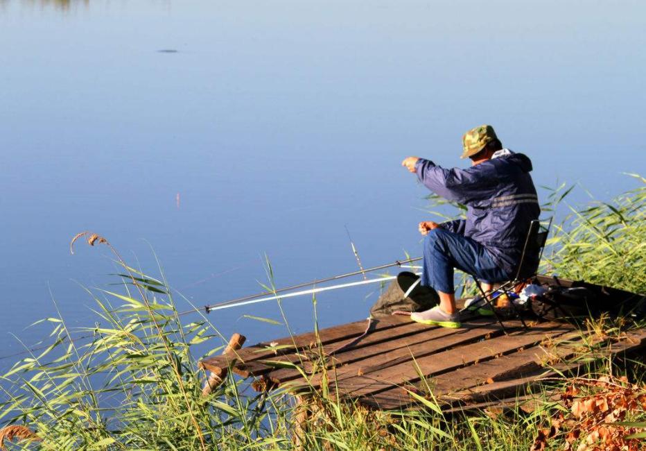 钓鱼新手先学钓什么鱼,钓好鱼要合理的选择和搭配