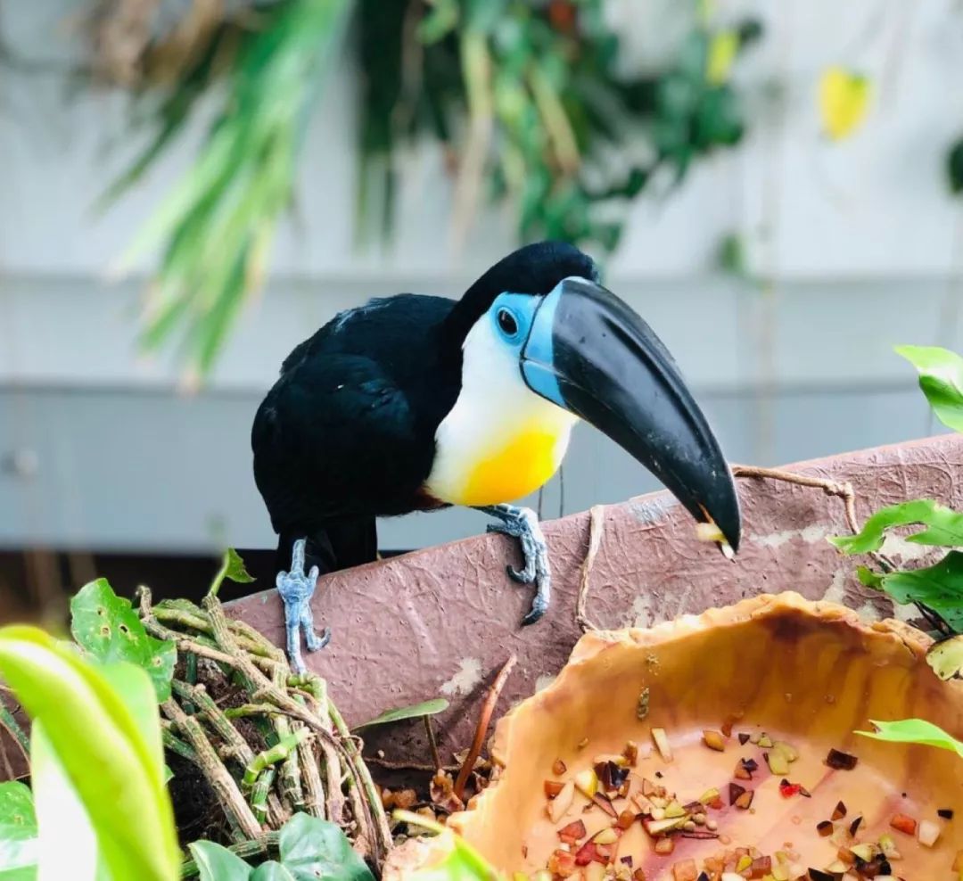 迪拜自由行攻略及小tips,去迪拜旅游前的准备攻略