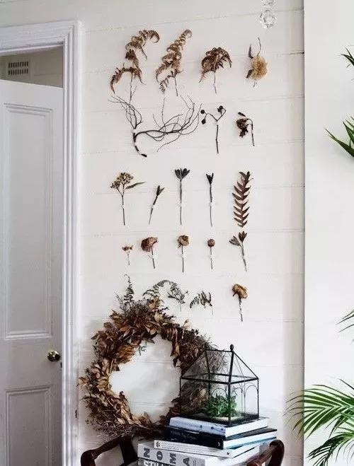 她用这种高颜值的干花装饰家里，隔壁邻居都惊叹不已