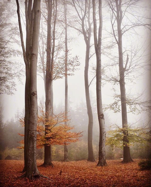 余生很长记得善良下一句怎么接,余生很长记得善良