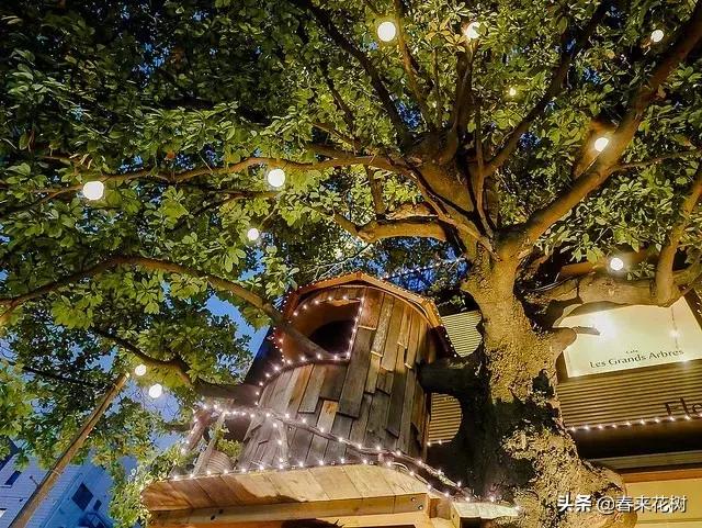 日本东京花店推荐,超美的花店