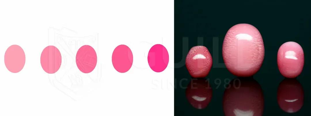 砗磲圆珍珠,贝壳珠和砗磲珠有什么区别