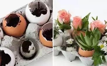 鸡蛋壳托盘手工作品创意,鸡蛋壳手工制作创意粘贴墙面画