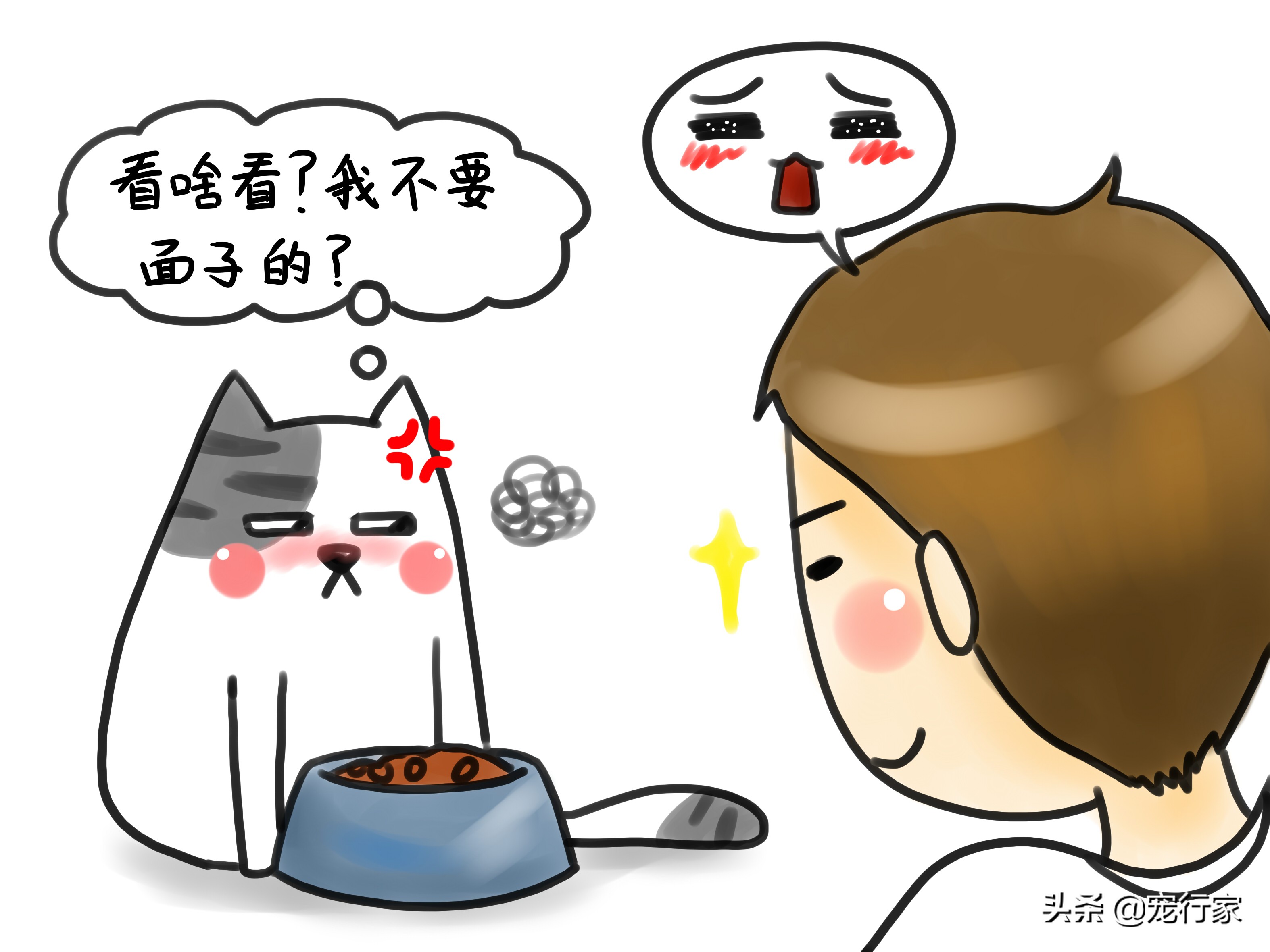 猫咪闹不听话,猫咪吃零食不吃粮了怎么办