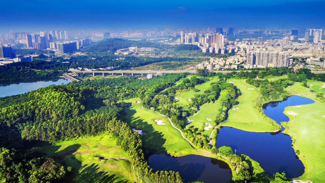 文化之源涵养创新沃土!光明这样让艺术之光照进科学之城