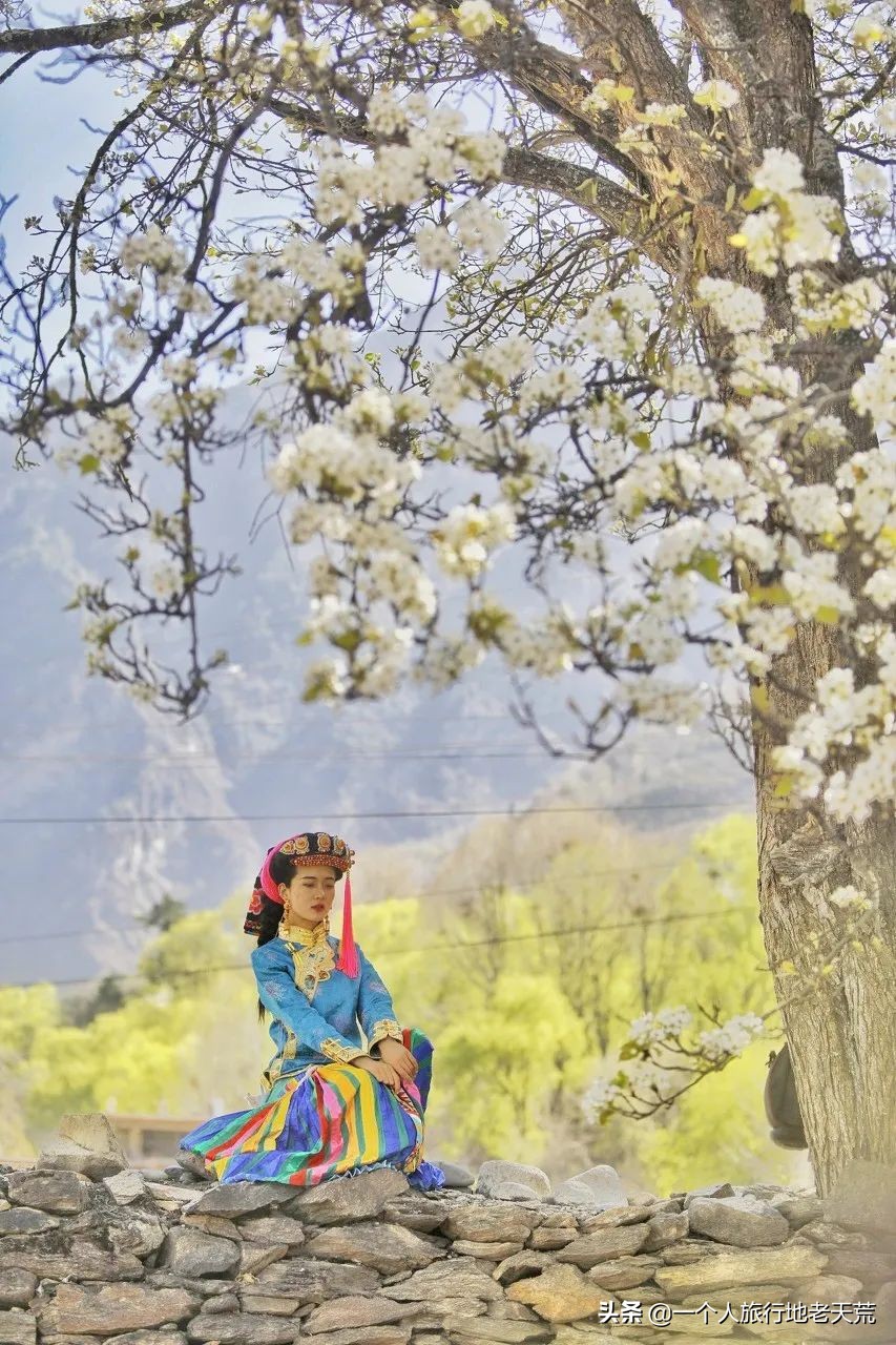 忽然想去自驾游了,想去川西看星空