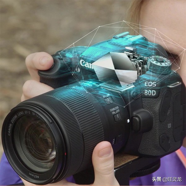 尼康和佳能的单反有什么区别,尼康和佳能的单反哪个更真实