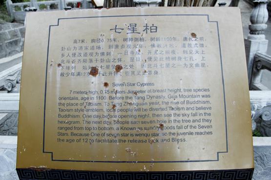 山西天下第一柏在哪里,山西省最奇特的山