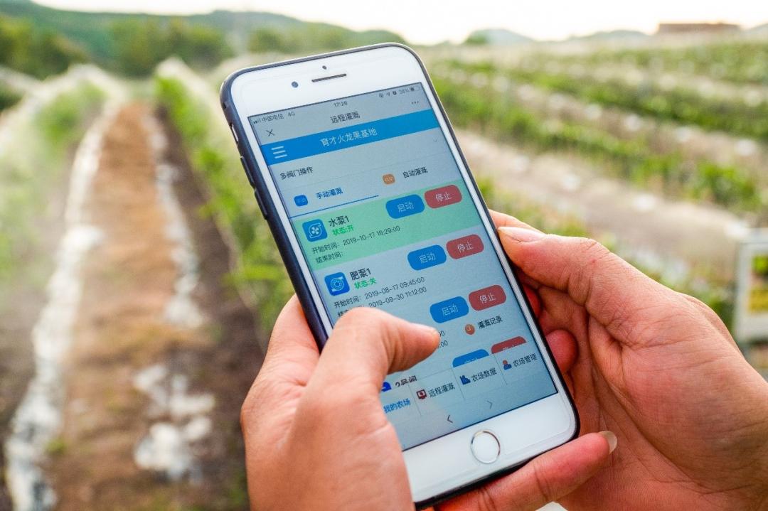 农业人阿甘,中国农业大学阿甘