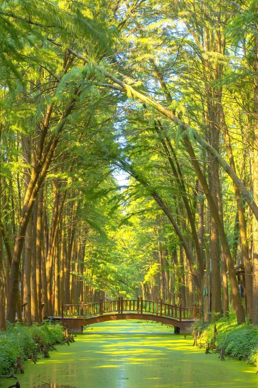 泰州中国最幸福的城市,泰州哪里比扬州好