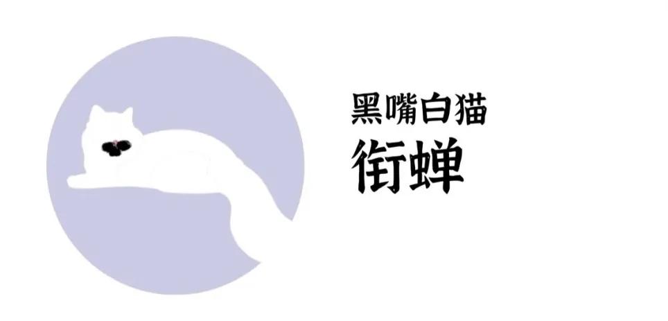 古代猫名字,古代猫的名字