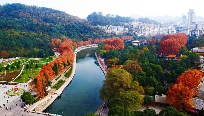 遵义旅游景点免门票,对遵义人免门票的景区